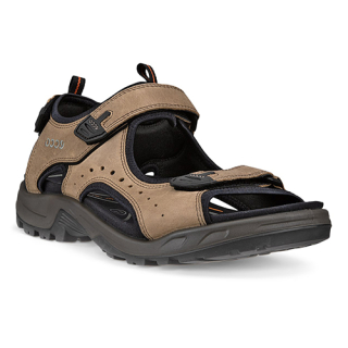 Ecco Offroad Andes Trek Sandal