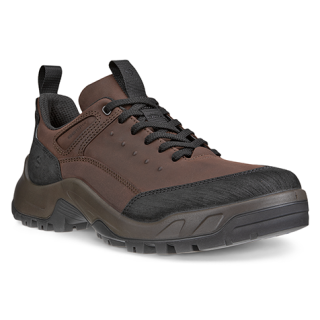 Ecco Offroad M Waterproof Mens Shoe