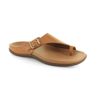 Strive Java II Toe Loop Sandal